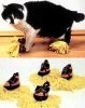 gal_invention_cat-duster-slippers.jpg