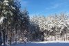 103_0931.jpg