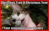 cat + christmas tree.jpg