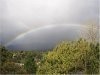 rainbowjune2010.jpg