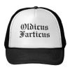 oldicus_farticus_birthday_hat_for_old_farts-p148167598154307331enxqj_325.jpg
