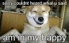 dog-smilelol.jpg