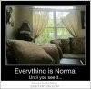 Everything is normal until you see it.jpg