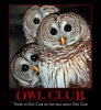 owls_demotivational_picture_2.jpg
