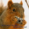 Squirrel with little camera.jpg