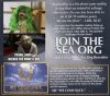 Yoda-Sea-Org.jpg
